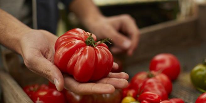 LV_20150527_LV_FOTOS_D_54431481274-kO8D–656×438@LaVanguardia-Web