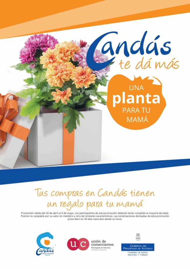 CARTEL CANDAS