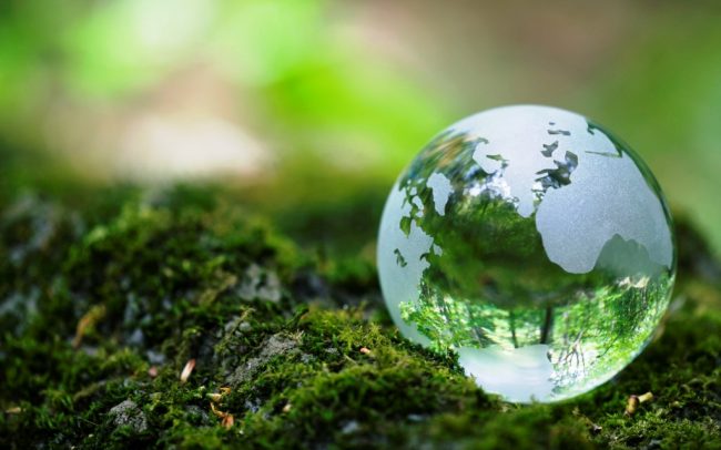 OUTSOURCING-EN-MEDIO-AMBIENTE