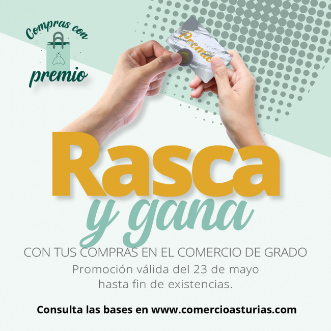 ig y fb 1