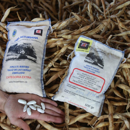 FABA ASTURIANA I.G.P FINCA EL RIVEIRO