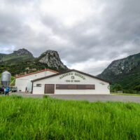 CABRALES D.O.P. - Imagen 5