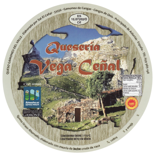 GAMONEU DEL VALLE VEGA CEÑAL