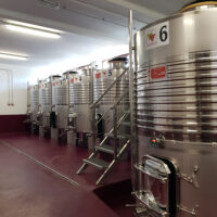 CARRASQUÍN Y ALVARÍN TINTO - Imagen 3