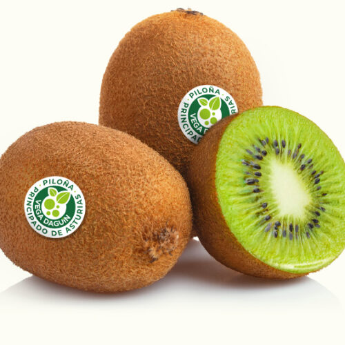 KIWI FRESCO