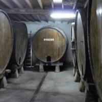 SIDRA LLOSA SERANTES - Imagen 7