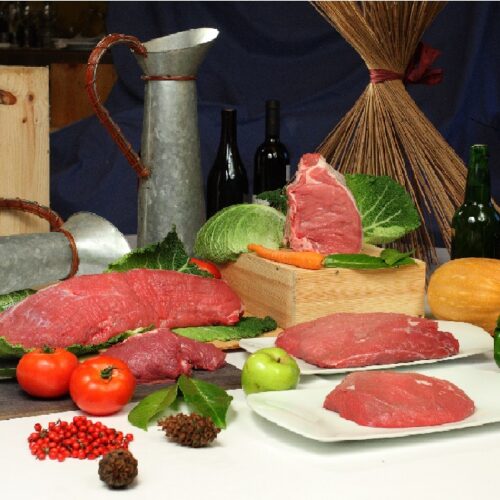 BIOASTUR