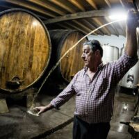 SIDRA LLOSA SERANTES - Imagen 6