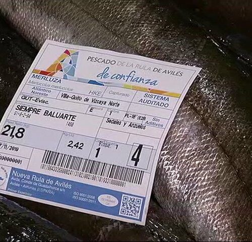 FOTOS PESCADOS DE CONFIANZA