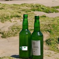 SIDRA G. COSTALES - Imagen 4