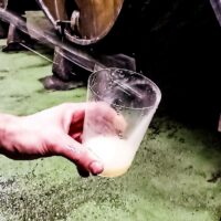 SIDRA G. COSTALES - Imagen 3