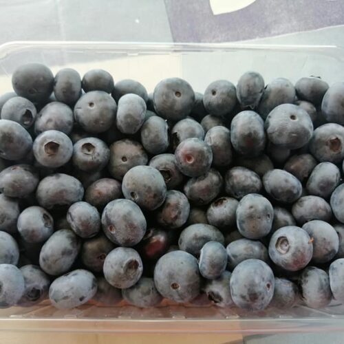 ARÁNDANOS EL BREGÓN