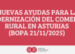 Nuevas ayudas para la modernización del comercio rural en Asturias (BOPA 21/11/2025)